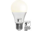 LED Leuchtmittel E27 A60 Sensor opaque - E27, 470Lm, 2700K, 4.8W, 230V