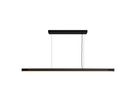 Skylar, Pendelleuchte, Schwarz - IP20, LED Modul