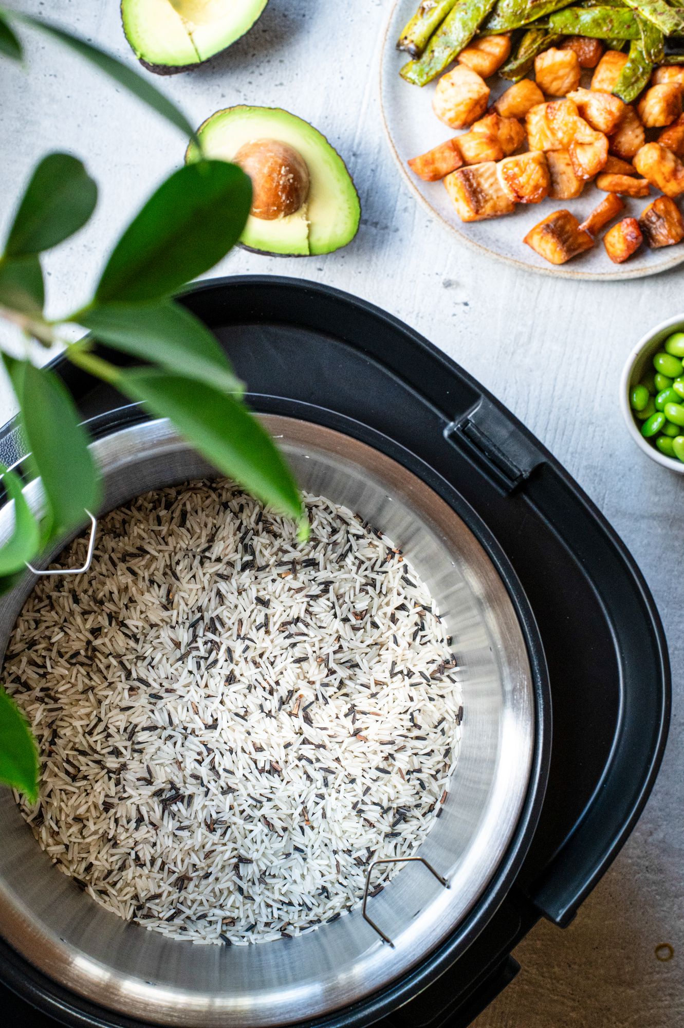 MULTI REISKOCHER MRK 950 - Multireiskocher, Edelstahl/schwarz, 860W