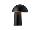 Faye Portable schwarz - 4.3W LED, 300lm, 2700K, IP20 3,7V