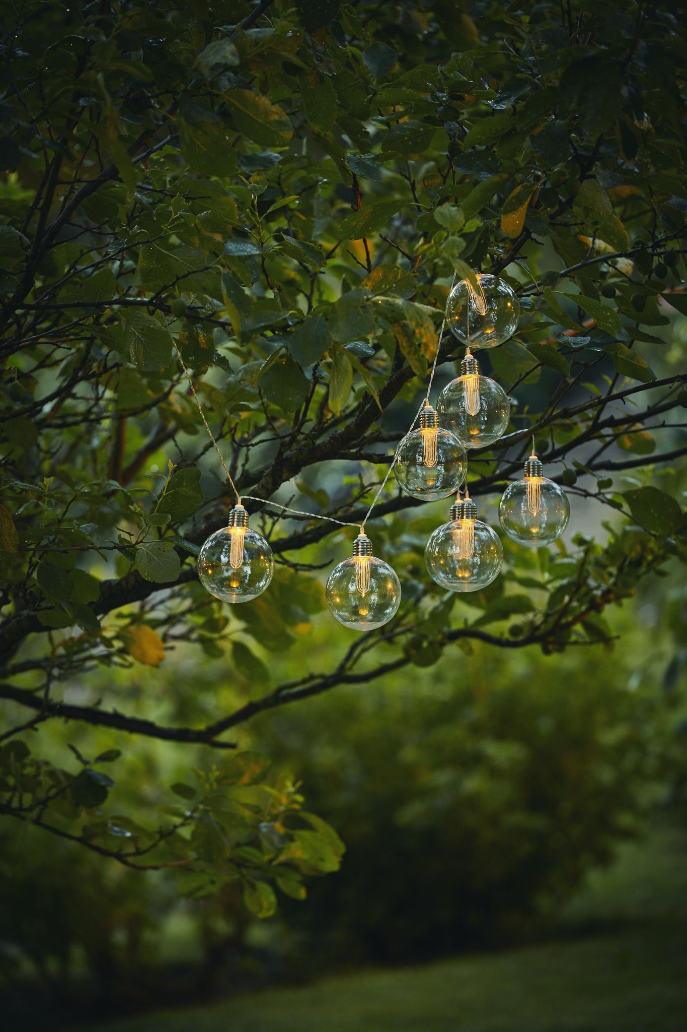 Solar Lichterkette Chania - Transparent, Lichtfarbe Warmweiss