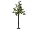 Decorative Baum Olivec - IP44, Warmweiss, 178 LED's