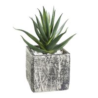 PFLANZE IM TOPF 95X95X130 GRAU/GRÜN - PFLANZE IM TOPF 95X95X130 GRAU/GRÜN