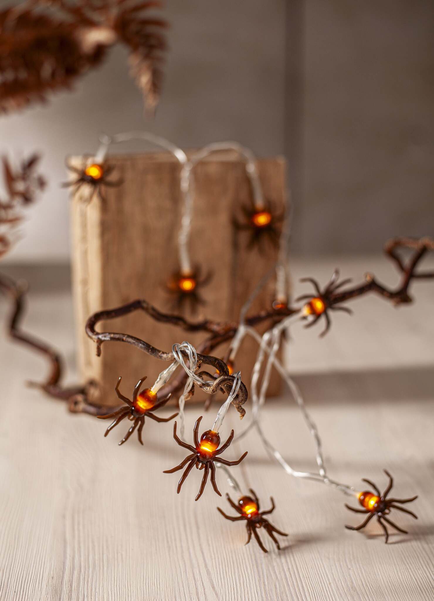 Lichterkette Spider - IP20, LED