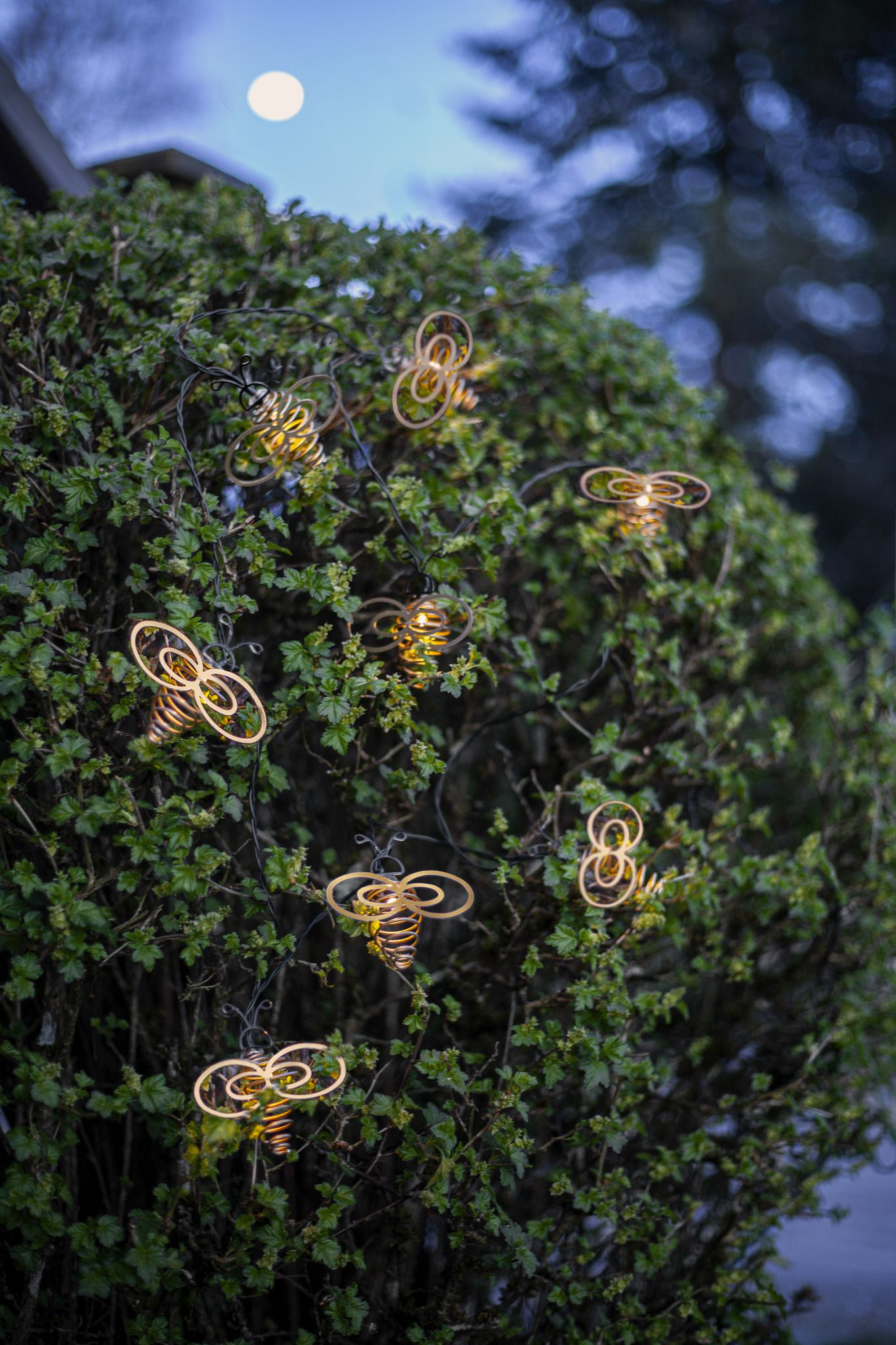 Solar Lichterkette Wings - IP44, Warmweiss, 8 LED