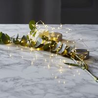 Catena di luci Dew Drop - IP20, Warmweiss, 40 LED