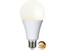 LED Leuchtmittel E27 A80 High Lumen - E27, 2452Lm, 2700K, 20W, 220-240VAC
