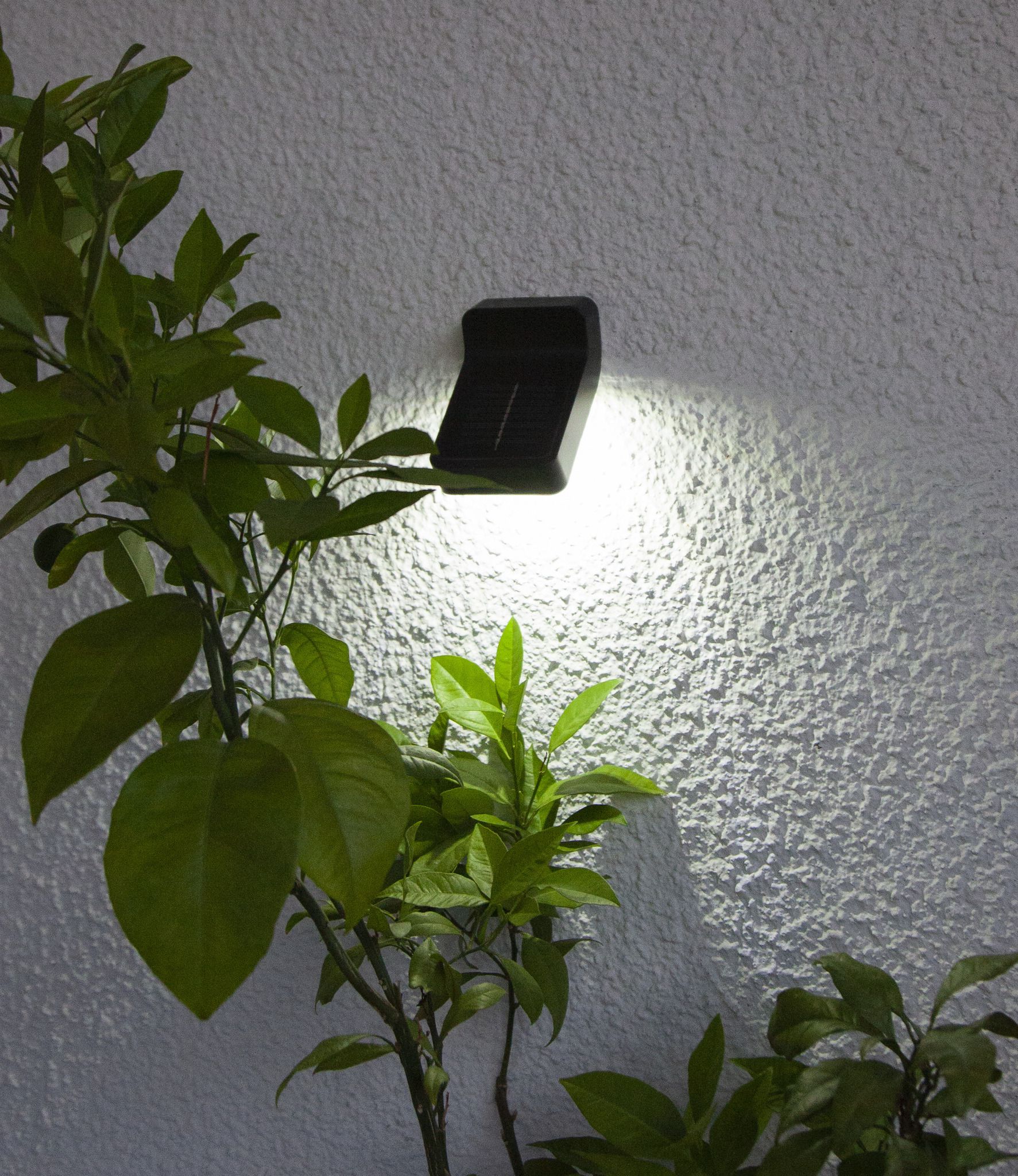 Solar Wand Laterne Wandy - Schwarz, Lichtfarbe Weiss