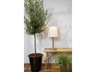 Solar Decoration Solia Table 60 cm - IP44, Warmweiss, Dämmerungssensor