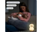 Nachtlicht Pinguin - 0.2W, IP20, USB-Ladung