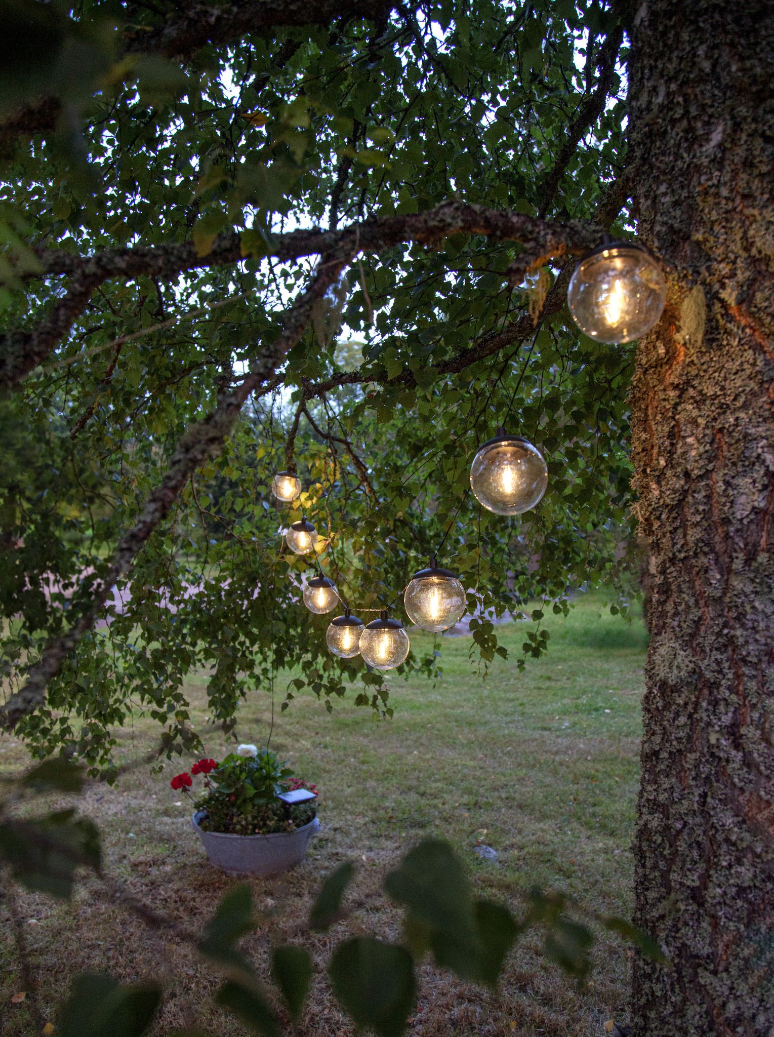 Solar Lichterkette Globe - IP44, Warmweiss, 8 LED's