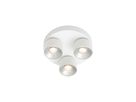 Spotlight Pitcher 3-Rondel - 3x50W, GU10, IP20