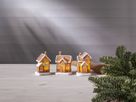 Display Gingerville - 1/4