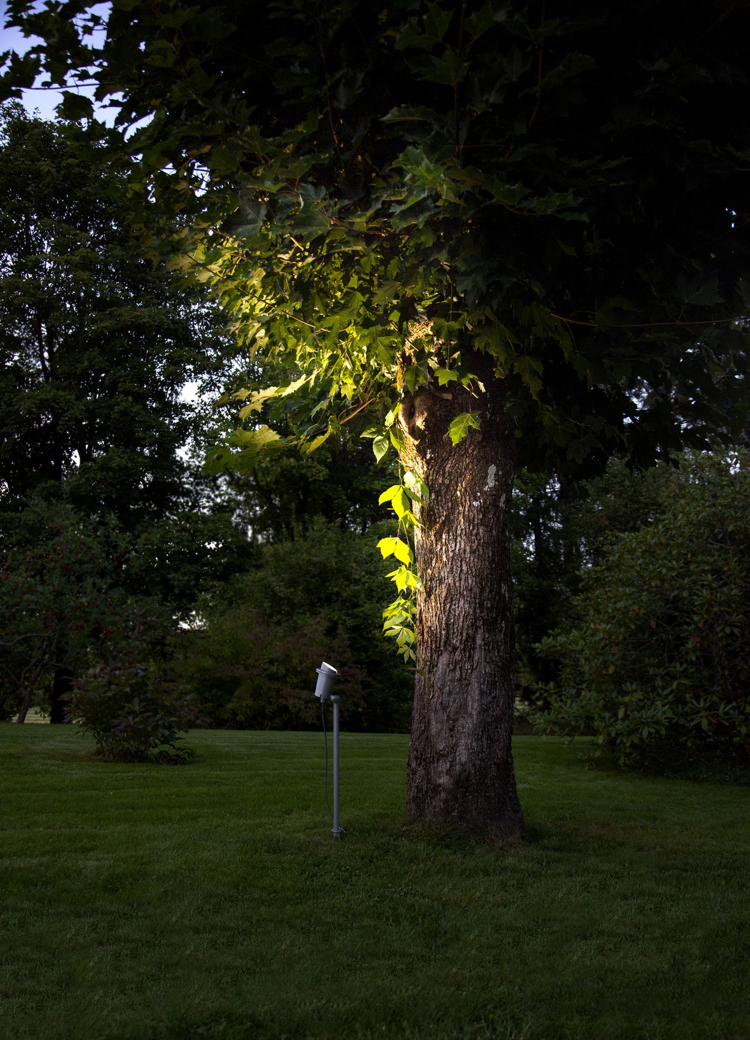 Outdoor Decoration Spotlight Focus - IP44, GU10, Grau