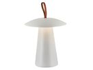 Akkuleuchte Ara To-Go 2 - 2W, LED Module, IP54