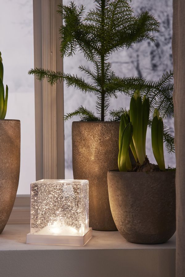 Indoor Decoration Frost - IP20, Warmweiss,Weiss