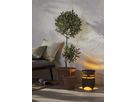 Solar Dekoration Marron - IP44, Warmweiss, 1 LED, USB-C