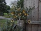 Solar Lichterkette Firework Solar - Schwarz, Lichtfarbe Warmweiss, 210cm