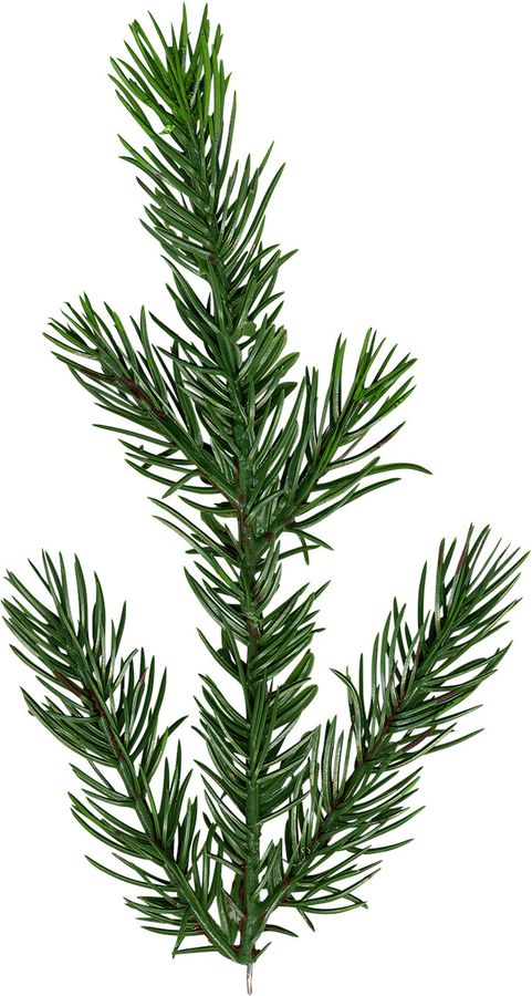 Weihnachtsbaum Malung - Outdoor, Grün, 200cm