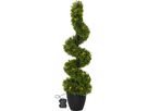 Dekorativer Baum Buxbom - grün, 30 LED's, 90 cm Höhe