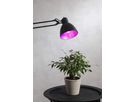 LED Leuchtmittel E27 A60 Pflanzen - E27, 200Lm, 1300K, 6.5W, 220-240VAC