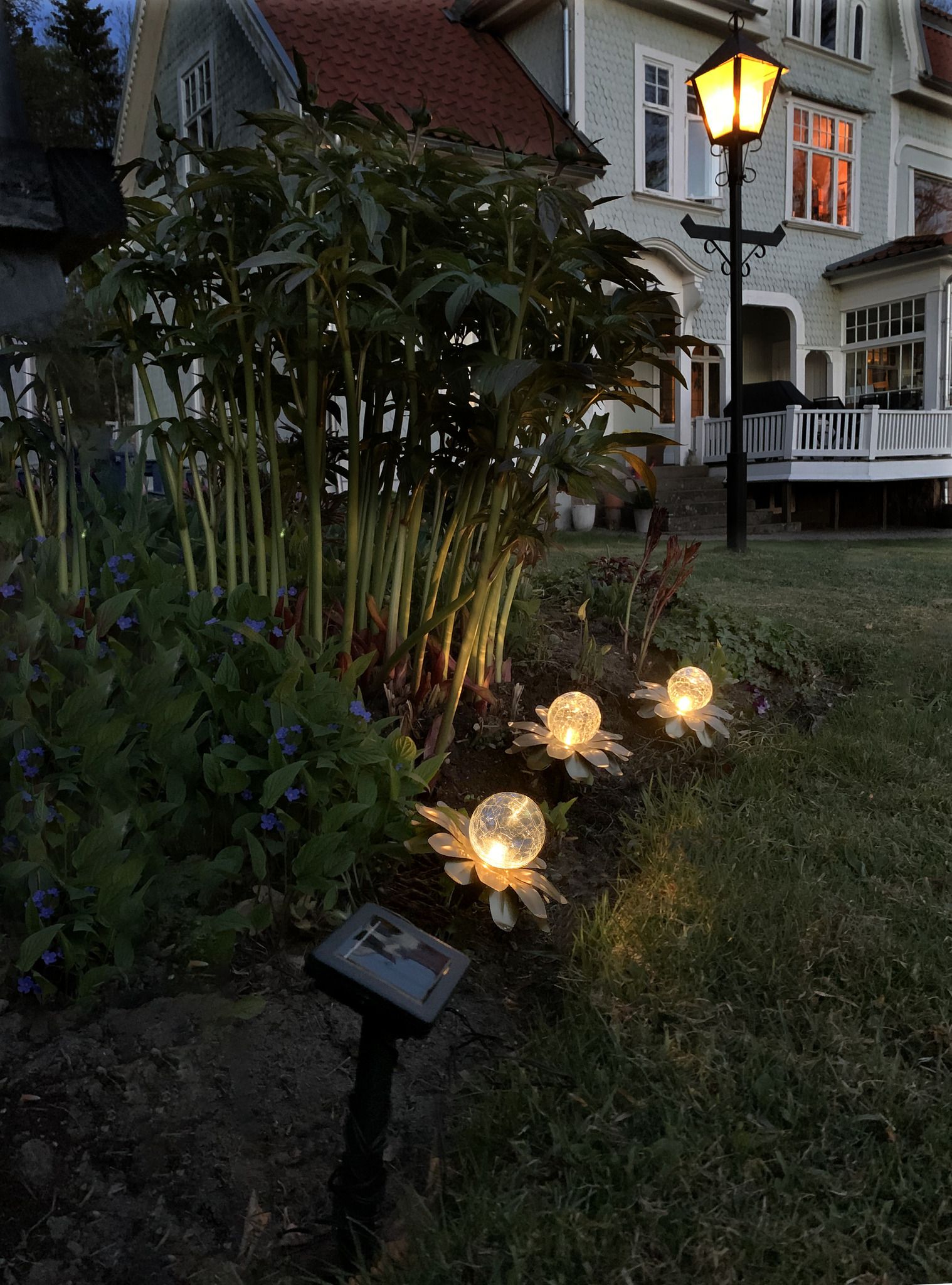 Solar Decoration Lilly - Warmweiss, IP44, Gold