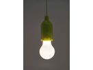 Pendellampe Pull-Light PL1W grün - Pendellampe Pull-Light PL1W grün