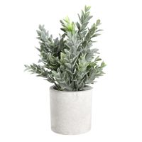 PFLANZE IM TOPF Ø160 H-220 GRAU/GRÜN - PFLANZE IM TOPF Ø160 H-220 GRAU/GRÜN