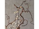 Lichterkette Shiny Warm White - Indoor, Outdoor, Warmweiss, Schwarz