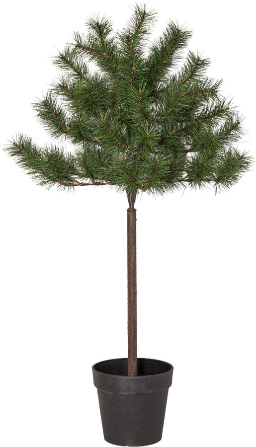 Weihnachtsbaum Tallis - Indoor, Grün, 100.00cm Höhe