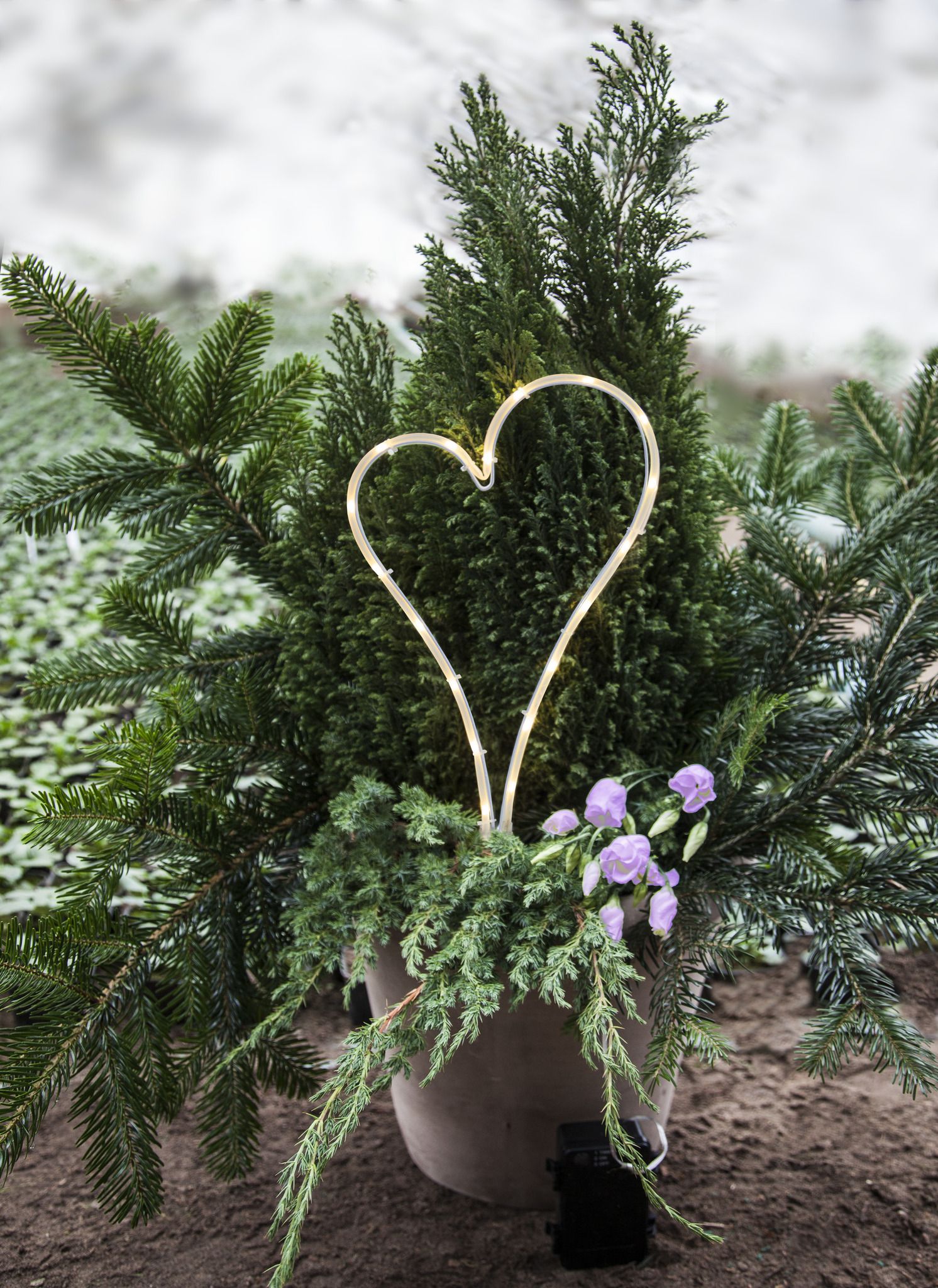 LED Licht Herz - Outdoor, Weiss, 39cm Höhe, Timerfunktion