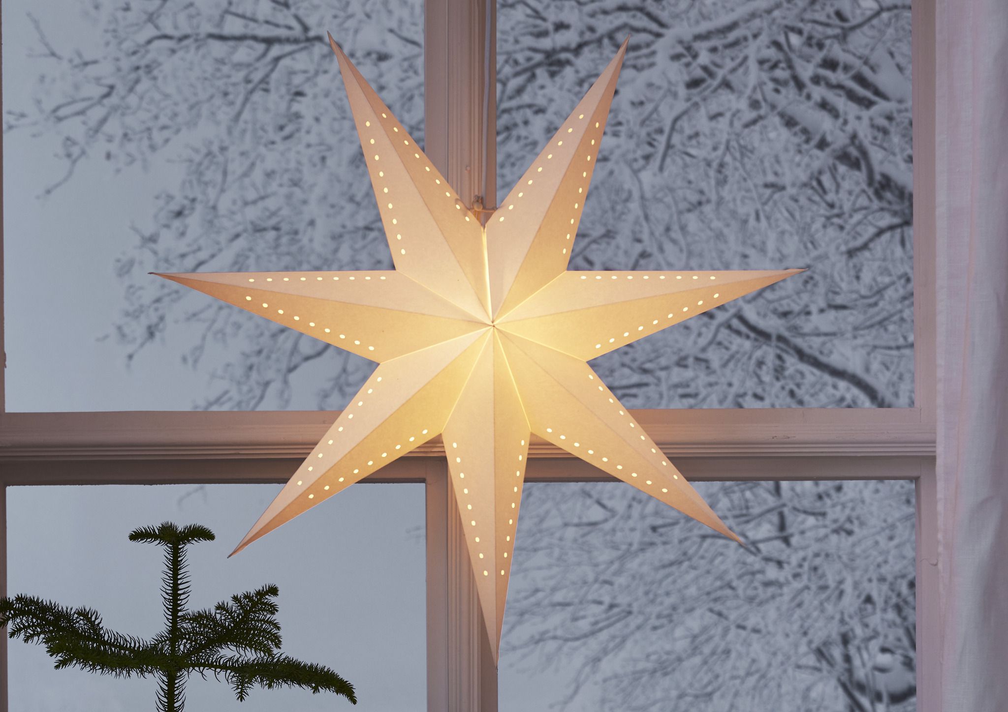 Paper Star Mika - Indoor, , Weiss