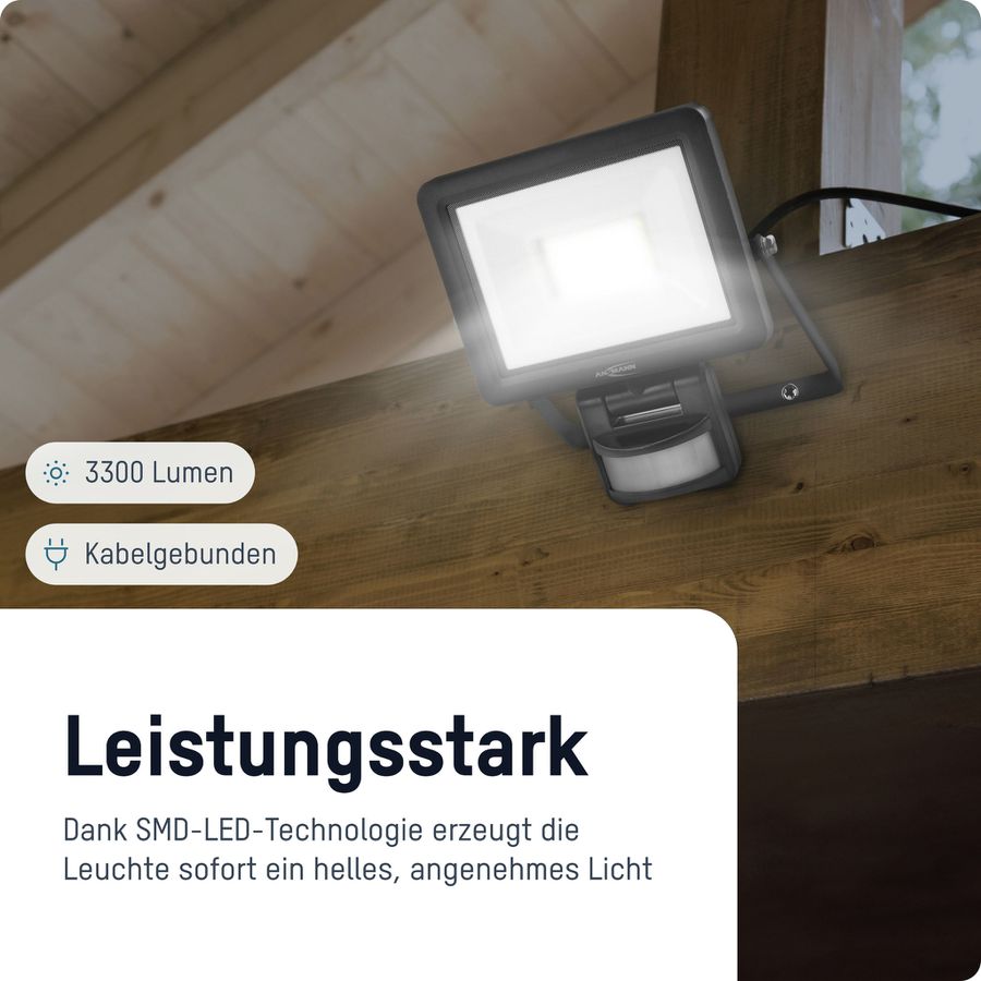 Flutlicht WFL30W-S - 3300lm