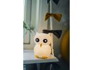 Nachtlicht Functional Owl - LED-Modul, IP20, RGBW