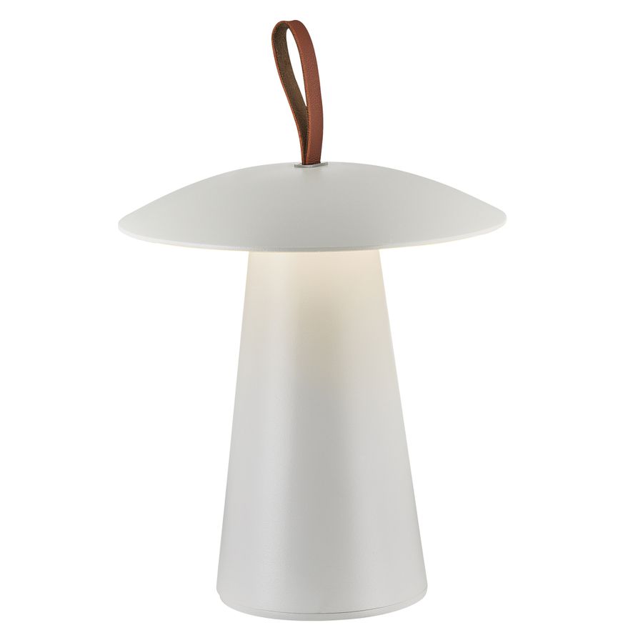 Ara to Go, Weiss - LED Modul, 2W ,IP54