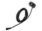 24V Leuchtenverbinder M12 (1.50m) - 24V, 36W, IP67, 1-Weg-Leitungsgerät mit M12-Buchse