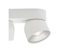 Spotlight Pitcher 2-Spot - 2x50W, GU10, IP20