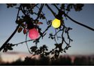 Illuminazione a LED Party-Deco, 6m - IP44, Multicolor, 8 Led's, 600cm