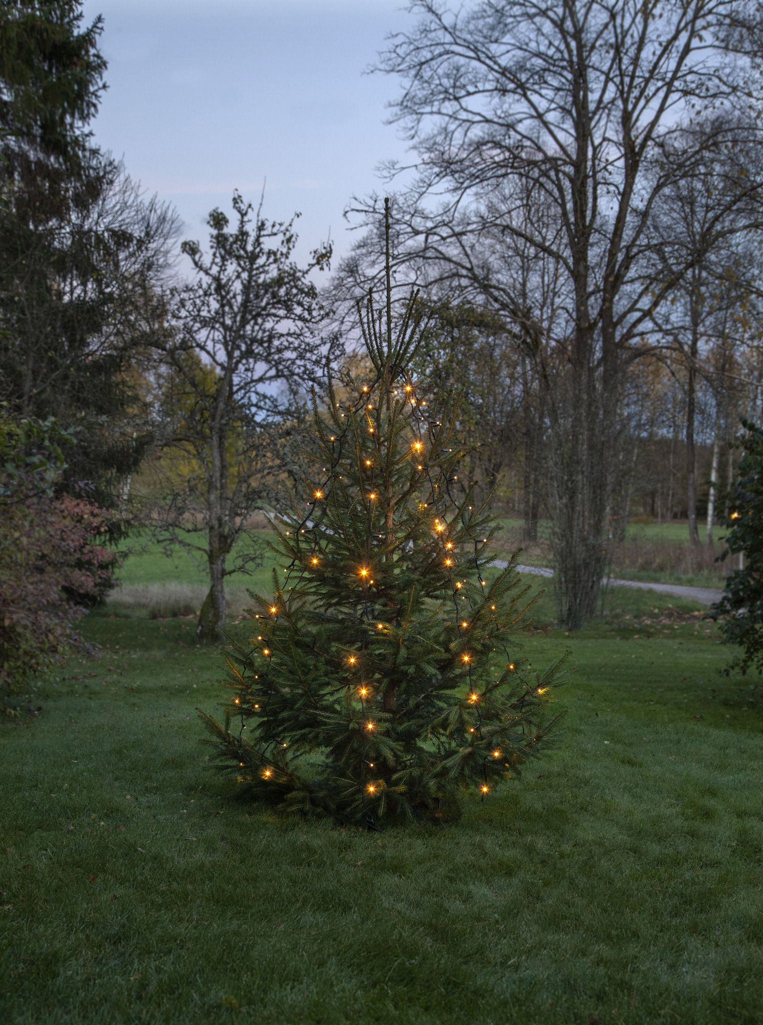 System 24 Extra, Baum-Lichterkette 6 Stränge, 28x180cm - Schwarz, Warmweiss