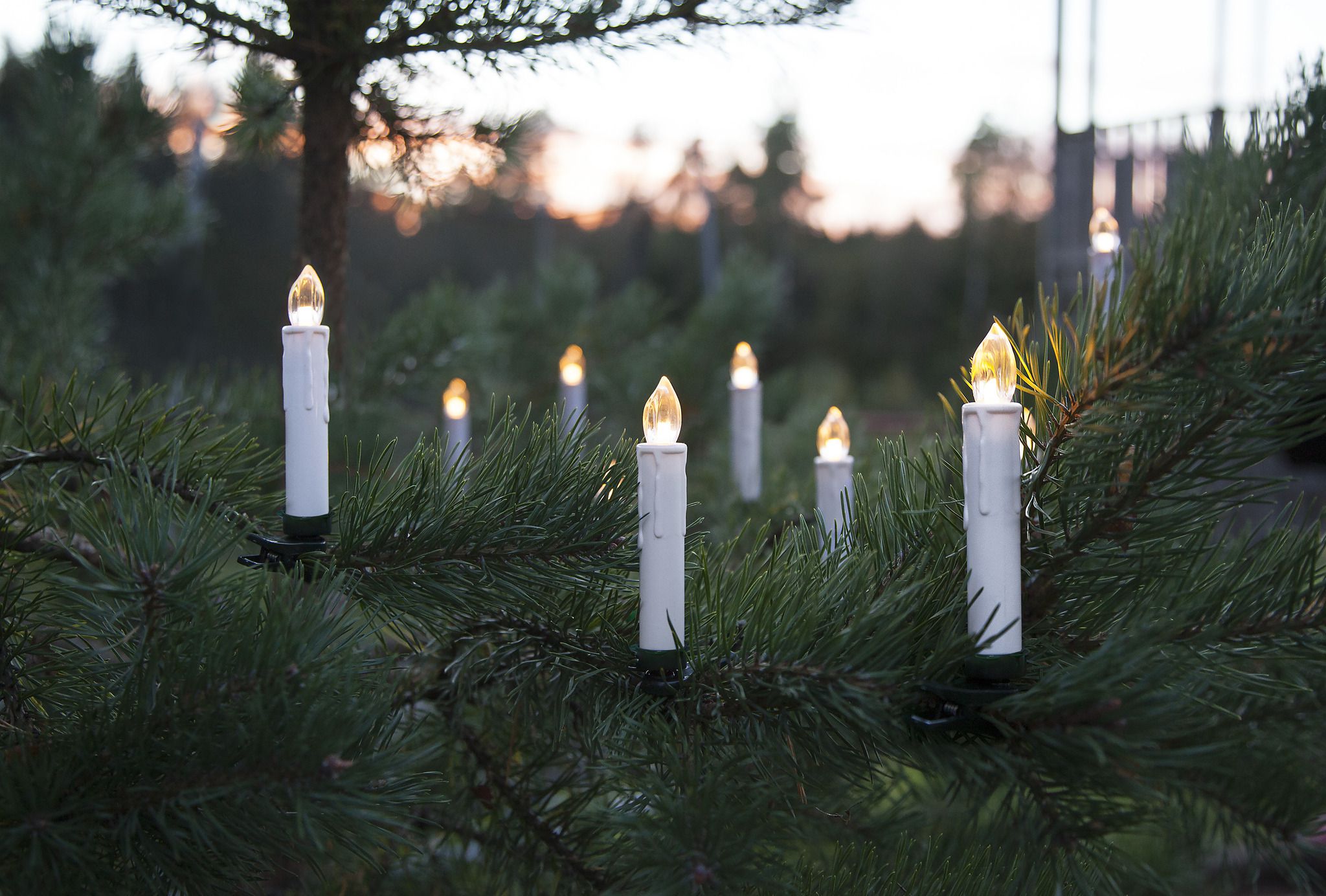 Weihnachtsbaumkerzen - IP44, Warmweiss ,10 LED's