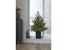 Weihnachtsbaum mit LED Grauland - IP20, Warmweiss, Grün