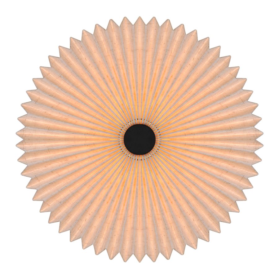 Deckenleuchte Vivienne Schwarz - E27, IP20, 230V