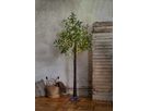 Decorative Baum Olivec - IP44, Warmweiss, 178 LED's