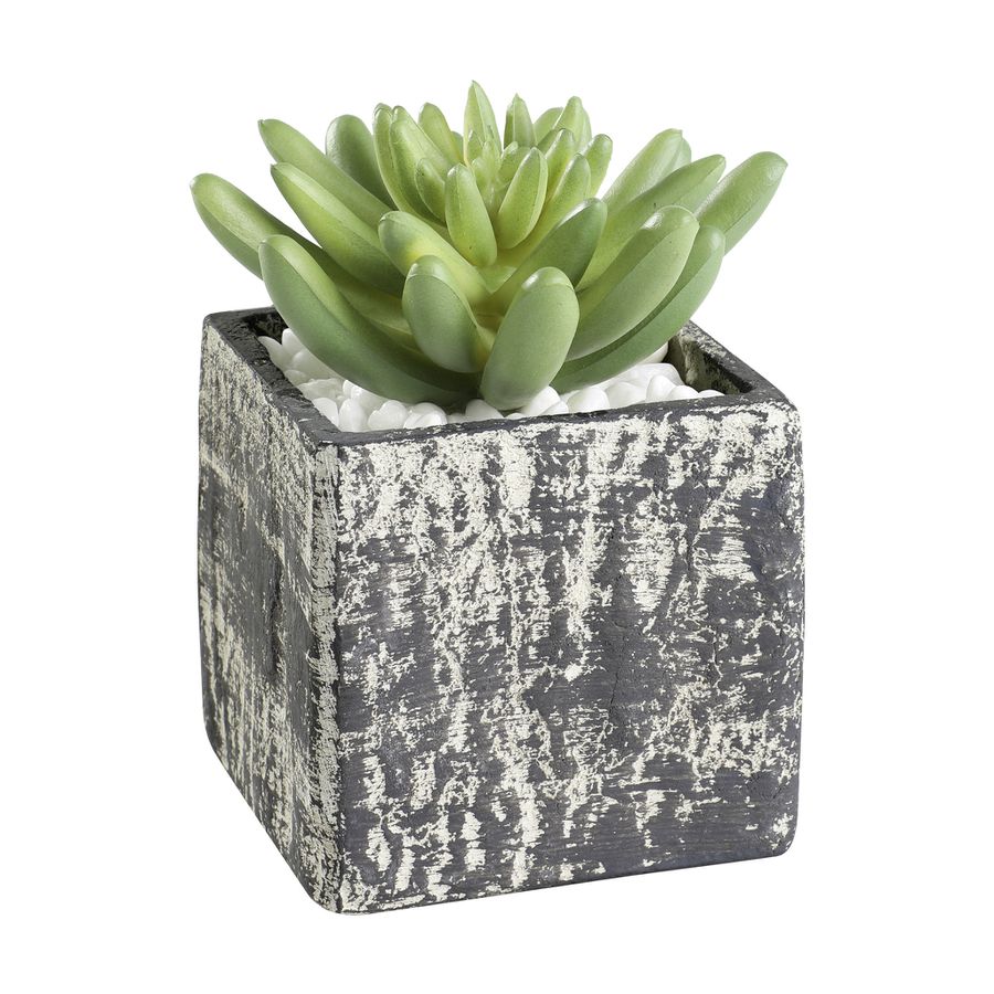 PFLANZE IM TOPF 75X75X120 H-GRAU/GRÜN - PFLANZE IM TOPF 75X75X120 H-GRAU/GRÜN