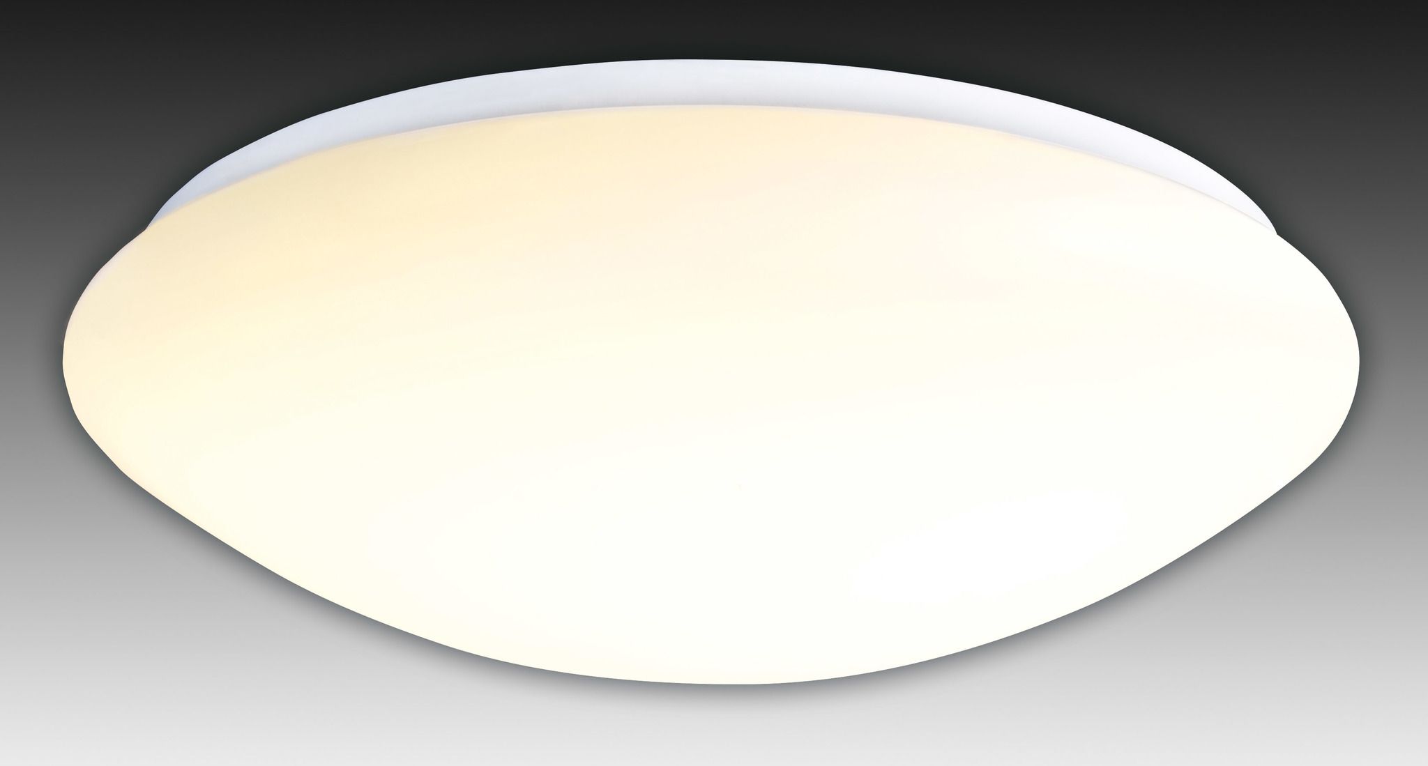 LED Deckenleuchte Bern d:35cm - LED fest verbaut, 2700-6000K, warm-kaltweiss