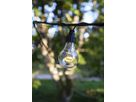 System LED Extra, Partykette, 500x11cm - Schwarz, Warmweiss